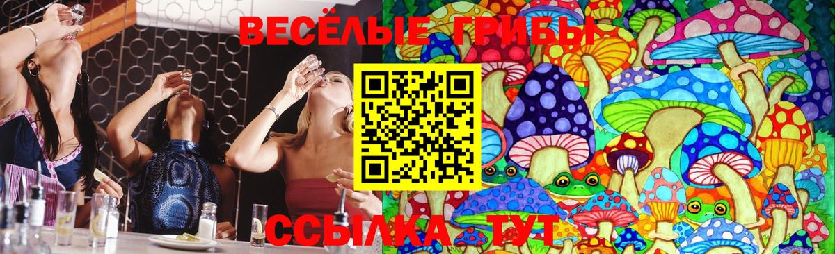 Псилоцибиновые грибы прущие грибы Нижний Тагил