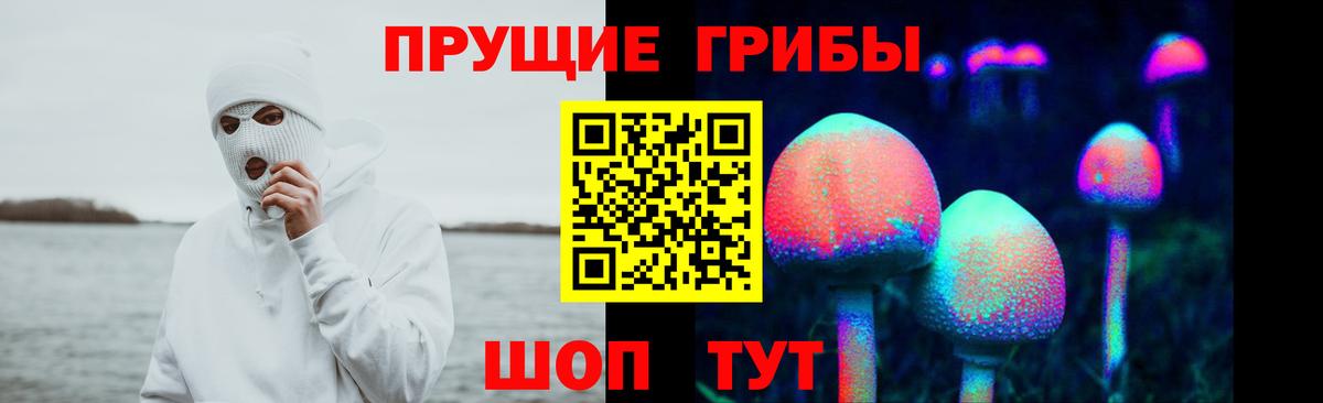 купить наркотики цена  Вход с VPN  Нижний Тагил  Псилоцибиновые грибы мухоморы 