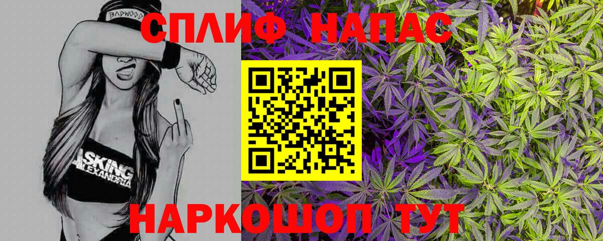 Бошки марихуана семена Нижний Тагил